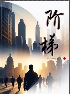 书记秘事封面