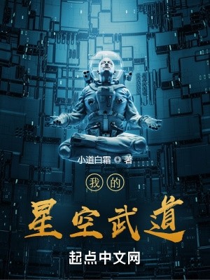 我的星空武道封面