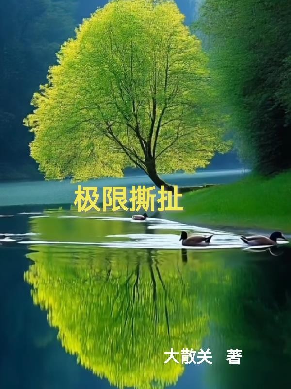 极限撕扯封面