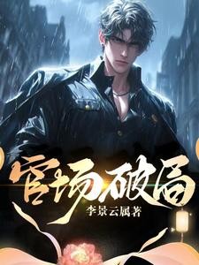 官场:破局封面