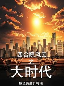 四合院风云之大时代封面