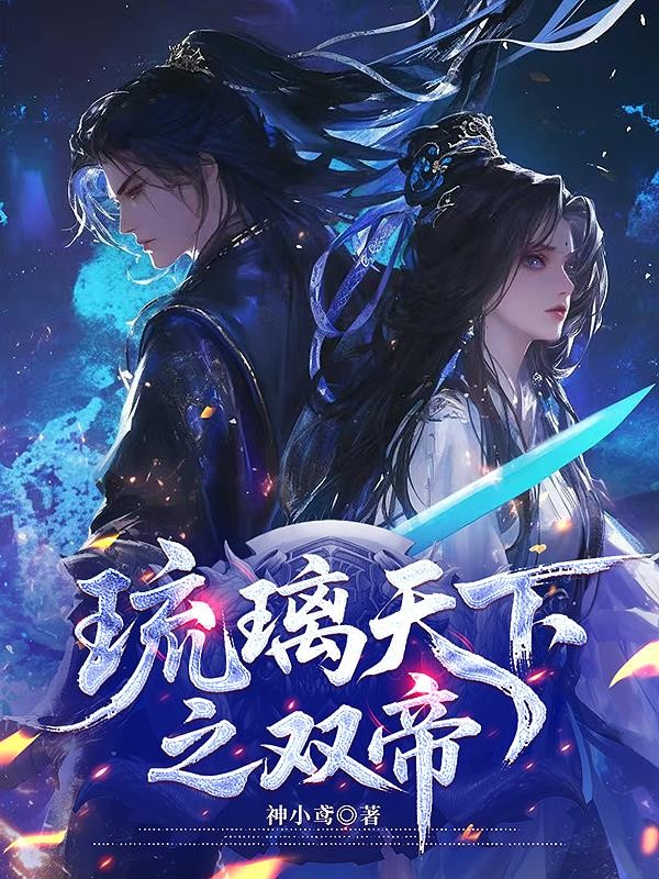 琉璃天下之双帝封面