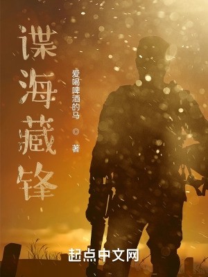 谍海藏锋封面