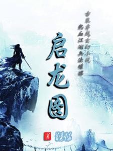 启龙图:我在敌国当皇夫摄政王封面
