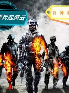 残兵起风云封面