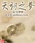 天朝之梦封面