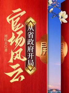 官场风云，从省政府开局封面