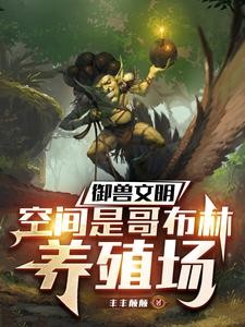 他的哥布林绝对有问题封面