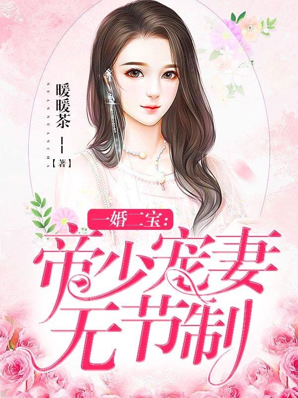 一婚二宝：帝少宠妻无节制封面