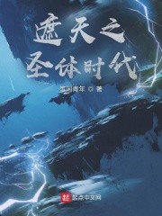 遮天之圣体时代封面