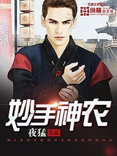 妙手神农封面