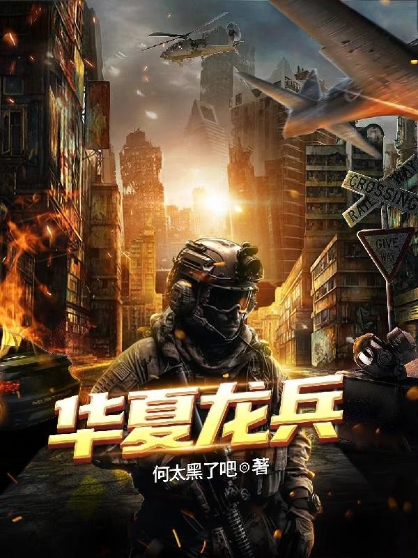 华夏龙兵封面