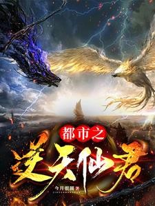 都市之逆天仙君封面