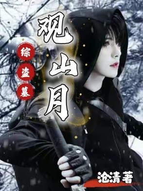 综盗墓:观山月封面