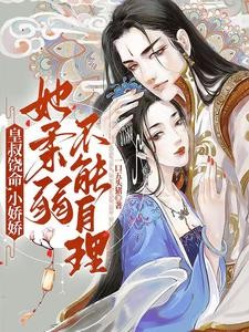 皇叔求放过,九皇子是女儿身封面