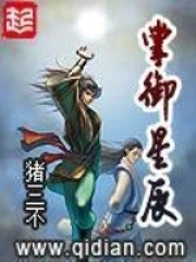 掌御星辰封面