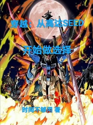 穿越:从高达SEED开始做选择封面