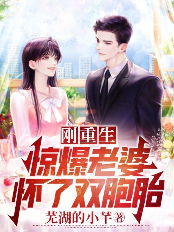 刚重生,惊爆老婆怀了双胞胎封面