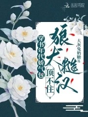 穿书年代娇气包，狼犬糙汉顶不住封面