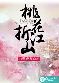 桃花折江山封面