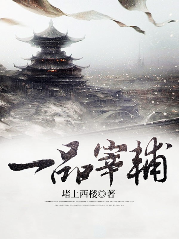 一品宰辅封面