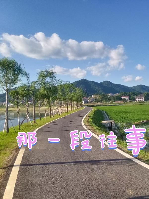那一段往事封面