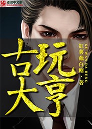 古玩大亨封面