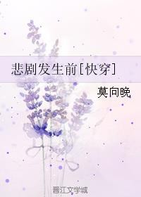 悲剧发生前封面