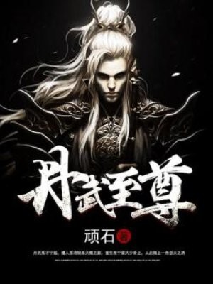 丹武至尊封面