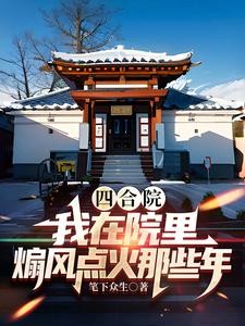 四合院：我在院里煽风点火那些年封面