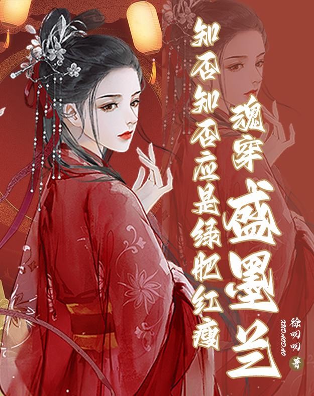 知否知否应是绿肥红瘦魂穿盛墨兰封面