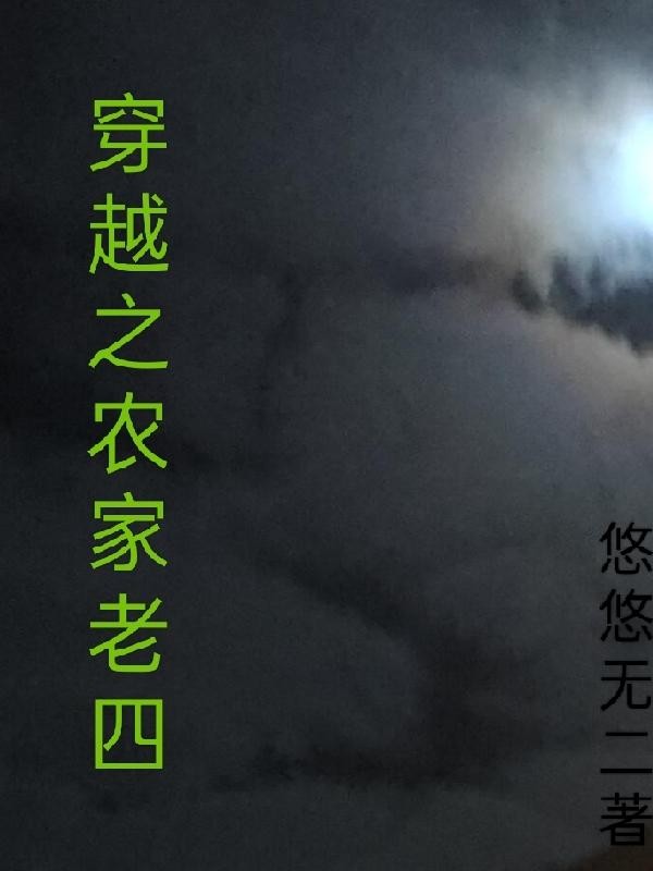 穿越之农家老四封面