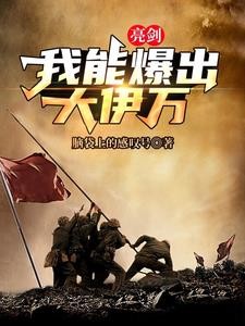 亮剑，治好火力不足恐惧症封面