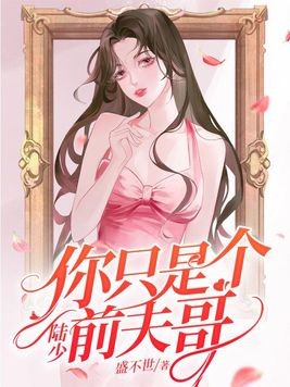 陆少，你只是个前夫哥封面