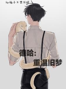 德哈：重温旧梦封面