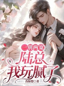 一别两宽，陆总我玩腻了！封面