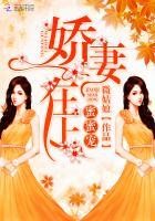 娇妻在上，蜜蜜宠！封面