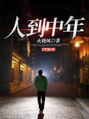 人到中年封面