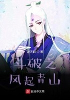 斗破之风起青山封面