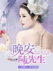 晚安，陆先生封面