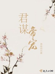 君谋帝宠封面