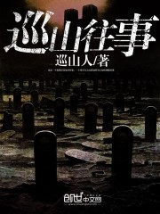 巡山往事封面