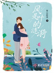 风是叶的涟漪封面