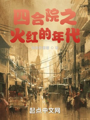 四合院之火红的年代封面