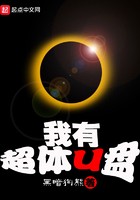我有超体U盘封面