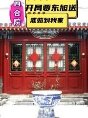 四合院:开局贾东旭送淮茹到我家封面
