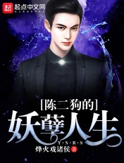 一个女人的故事