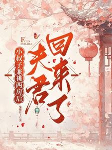 小叔子兼祧两房后,夫君回来了封面