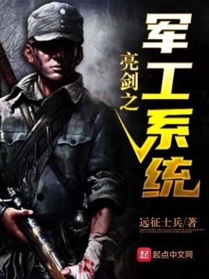 亮剑之军工系统封面