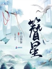簪星封面